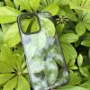 10-PACK 2023 New iPhone Cover 3 Months no Yellow 15Pro max 15Pro 15Plus 15 Clear PC TPU Case - Image 5