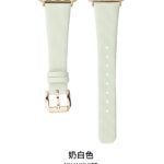 10-PACK Silk Leather Bracelet Watch Band Strap Compatible Apple iWatch Ultra 49mm - Image 9