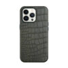 Luxury Crocodile-like PU Leather Back Magnetic Magsafe Cover for iPhone 15Pro max 15pro 14pro max 13Pro max - Image 6